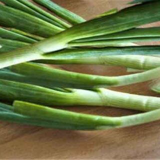 Spring_onion