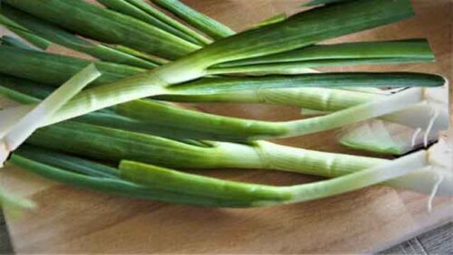 Spring_onion